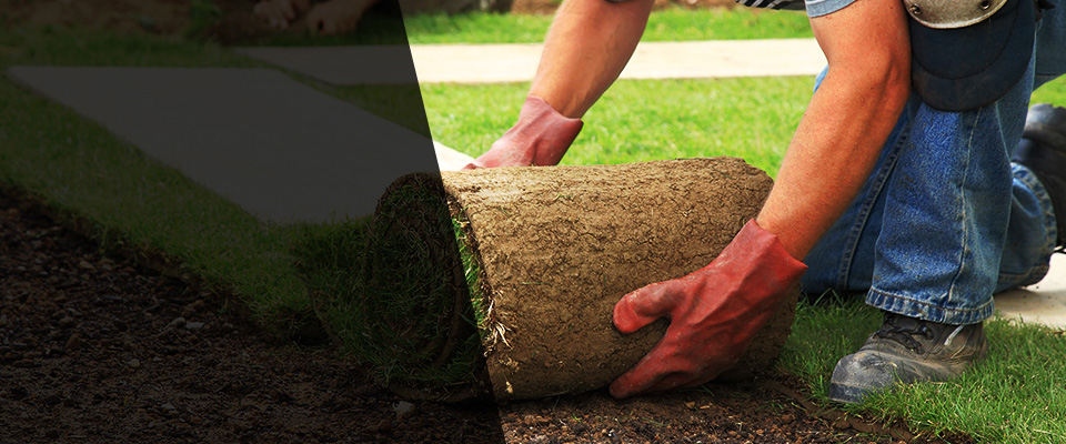 Shalimar Landscapers